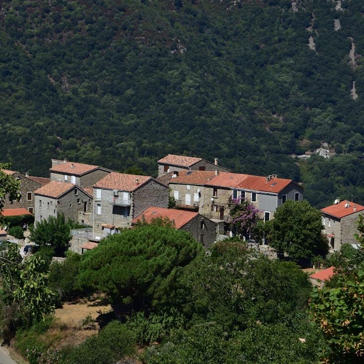 Family-friendly dining with comfortable seating